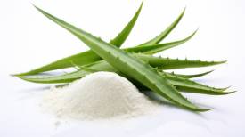 Aloe Vera Freeze Dried Powder 100X